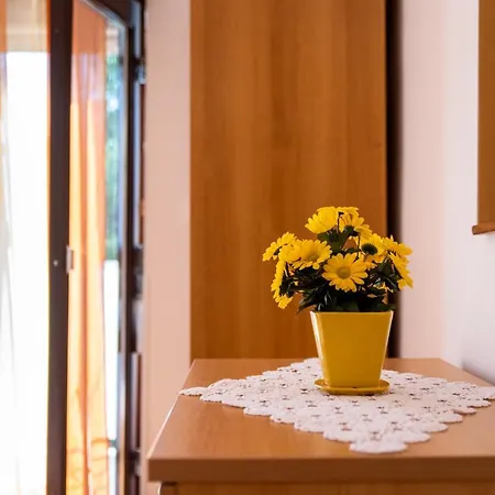 Apartmani Centar Palit Exterior foto