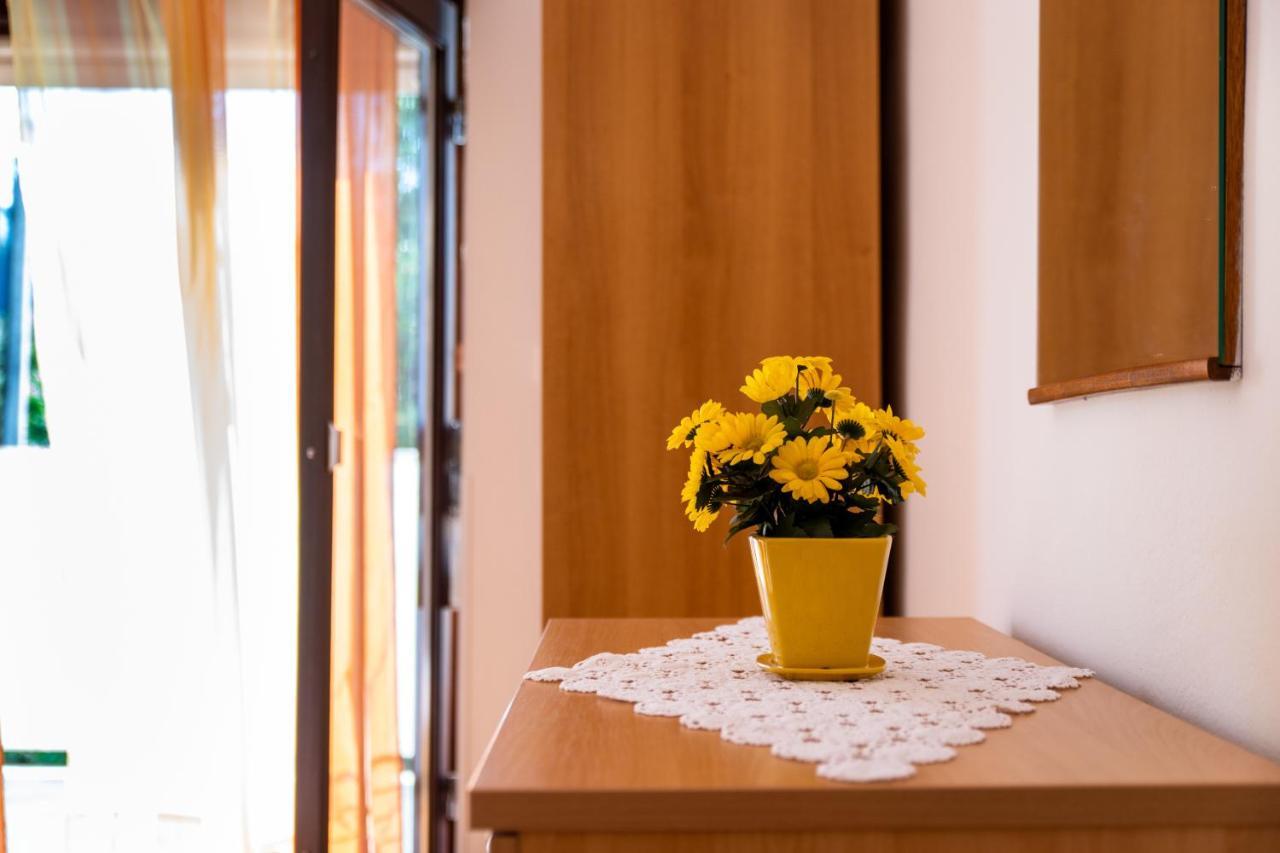 Centar Apartment Palit